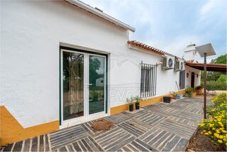 -211598421_IDf70f8201-0000-0500-0000-000013e549f0.jpg