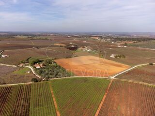-211598421_IDf70f8201-0000-0500-0000-000013f156f6.jpg