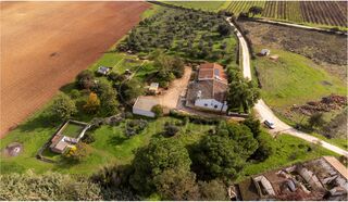 -211598421_IDf70f8201-0000-0500-0000-000013f15705.jpg