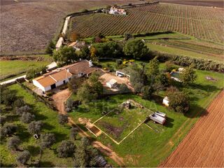-211598421_IDf70f8201-0000-0500-0000-000013f15707.jpg