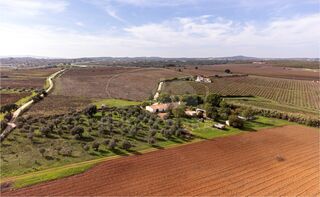 -211598421_IDf70f8201-0000-0500-0000-000013f15708.jpg