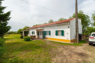 -1124771018093_226331c9-b545-4b73-89b2-79ab1f7cd322.jpg