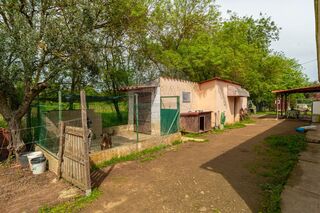 -1124771018093_d92eec3a-8082-4ffb-9d36-5f9d094fbe0f.jpg