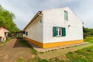 -1124771018093_ee40d728-b76e-4b0b-8f36-201b1d299d6d.jpg