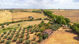 -1124771124016_da96aa75-5237-4c68-8f61-5afcd698db29.jpg