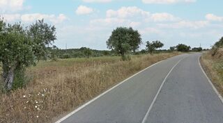 -1124771143013_8afbf115-9953-4ccc-bae6-5b5088c947b7.jpg