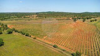 -1124771163013_29d68f15-862b-46d3-864e-d121fcab4e1c.jpg