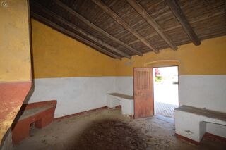-11011624_63eaee30-6c1c-49a7-88f5-4fe5a57b8605.jpg
