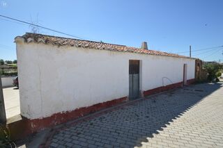 -11011624_9f1d83fc-a20b-4d03-af3c-480b7d2f10e3.jpg