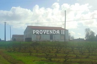 Farm V6 Serro Grande Aljezur - good access, water, electricity, well