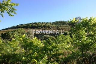 Quinta/Herdade V4 com casa antiga Vilarinha Bordeira Aljezur - electricidade, água da rede