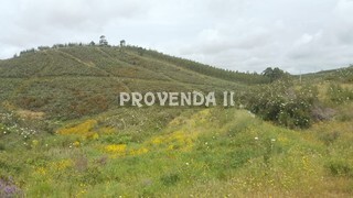 Land Rustic with 30000sqm Fonte Velha Aljezur - beautiful views