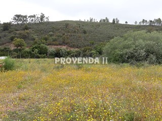 Terreno Agrícola com 10800m2 Monte da Ribeira Aljezur