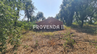 Farm V0 Cercas São Teotónio Odemira