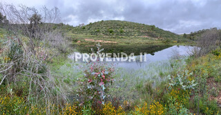 Farm 5 bedrooms Chaparral Bordeira Aljezur - cork oaks