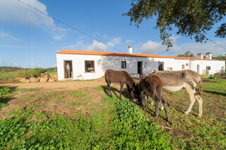 Homestead V3 Alfaçal Aljezur - electricity, terrace, equipped, kitchen, cork oaks, water