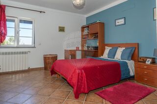 -2120121056685_5bd181dc-e577-4ed3-9e52-027bb61df04f.jpg