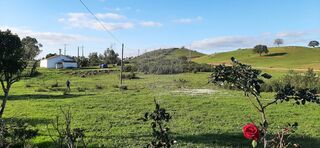 -2120141094089_7d77e59e-b8b3-4fd7-a5b9-0383c0447219.jpg