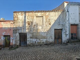 -2120211286103_03c500fb-b976-4036-9e7f-21c3dcc55ed1.jpg