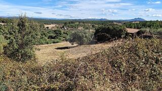 -2120211286104_15b58601-efed-4719-a4f1-a09bba2b3a03.jpg
