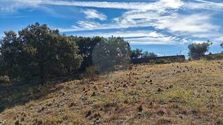 -2120211286104_46a3d2f7-75ce-48e6-91f9-7caa96d9b893.jpg