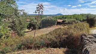 -2120211286104_5db229e7-ddf7-4bcd-8fcf-db1f69cc9d3b.jpg