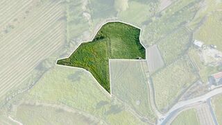 -2120241004508_58165e53-8dfe-44fe-a7ab-62a45015054b.jpg