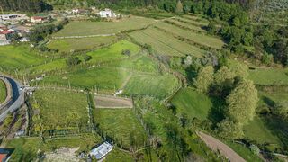 -2120241004508_717513c9-aa2d-4777-a7f2-a4551755b231.jpg