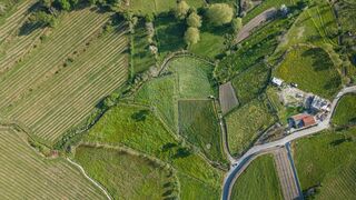 -2120241004508_98121749-f872-49d6-9263-7d6fad61b385.jpg