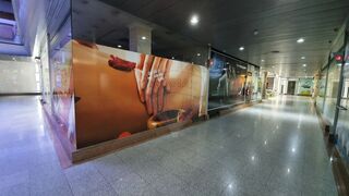 -2120251178159_48ad37c1-5ef5-4dc9-8e18-343ba92ed47b.jpg