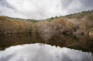 -2120251223084_2e0d34b2-5047-46c6-bf9e-d501bab8b66d.jpg