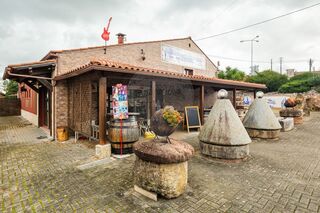 -2120251248144_1a5111a6-b178-4472-bd99-4c06235ad32f.jpg