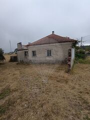 -2120251351015_bd8d4810-0ead-4be0-93e0-a0c782c1eeba.jpg