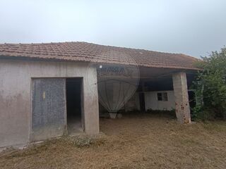 -2120251351015_c2580ab6-1137-464b-a305-47c337e215c0.jpg