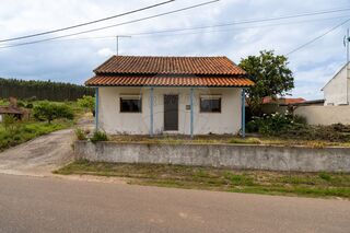 -2120251373050_52e82826-fd66-424f-a6d3-c6c8c3b2f8a3.jpg