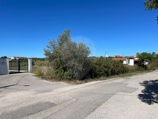 -2120251399015_b7cf2201-064f-4802-871e-aeae4868b366.jpg