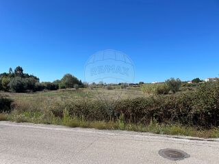 -2120251399015_f0da9408-ac54-4ac1-aa06-f1d6c074cc3c.jpg