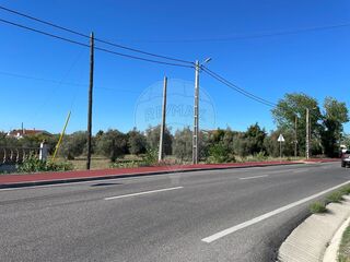 -2120251399016_522cab57-5f69-4339-a4ac-49bb8dc3a499.jpg