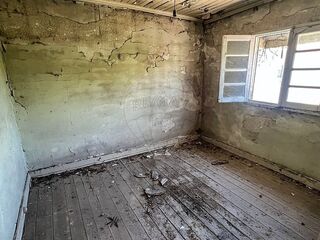 -2120251426001_ca37c4e8-1d18-4906-8630-6ef247b25a86.jpg