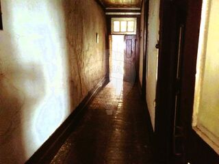-2120401207087_427f2698-63d3-4a23-9a0b-f8bead3f5b8e.jpg