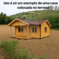 -2120451412016_c784c2a4-f363-4b6b-b137-7ca615108d48.jpg