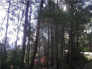 -2120461015039_L_19cbe294dbba4bd3912f8b953fdc9f36_iList.jpg