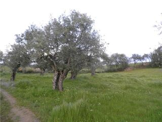 -2120461015356_L_b745352db1c24c5495fdba42ac2dfa58_iList.jpg