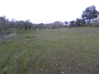 -2120461015356_L_fbf102a5976f4930be25138dc397059e_iList.jpg