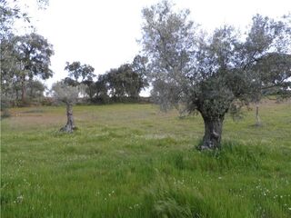 -2120461015356_L_fcb5474c1b774434a631e641d8be321f_iList.jpg