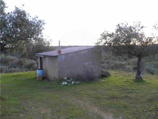 -2120461015361_L_08f6a5fed83246978b692319430efb94_iList.jpg