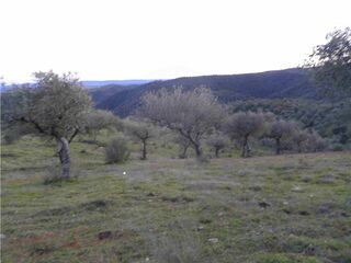-2120461015361_L_198cebac479a4959aa490bdf11b844a4_iList.jpg