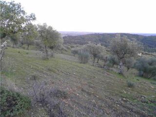 -2120461015361_L_44d779029e604f479466f7484bf6edf6_iList.jpg
