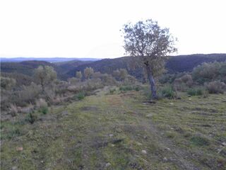 -2120461015361_L_91ef5b4de4254f7faaa18615ff63c8ac_iList.jpg