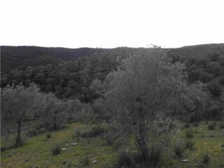 -2120461015361_L_95a0619a36264e85811be134ad141567_iList.jpg